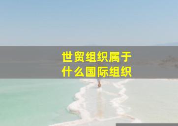 世贸组织属于什么国际组织