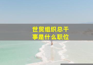 世贸组织总干事是什么职位