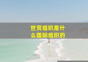 世贸组织是什么国际组织的