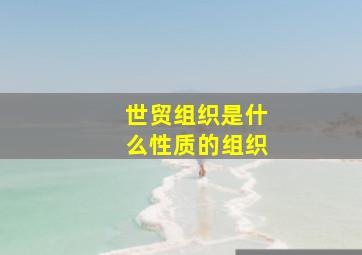 世贸组织是什么性质的组织