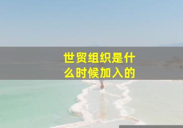 世贸组织是什么时候加入的