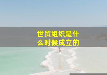 世贸组织是什么时候成立的