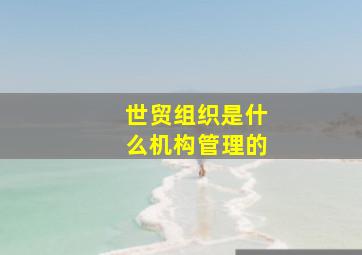 世贸组织是什么机构管理的