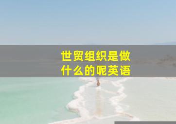 世贸组织是做什么的呢英语