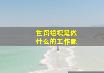 世贸组织是做什么的工作呢