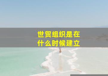 世贸组织是在什么时候建立