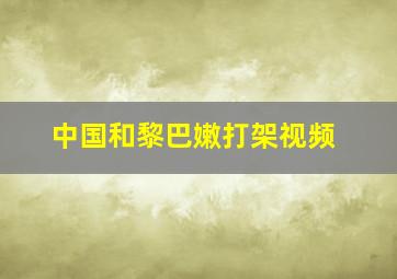 中国和黎巴嫩打架视频