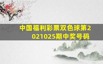 中国福利彩票双色球第2021025期中奖号码