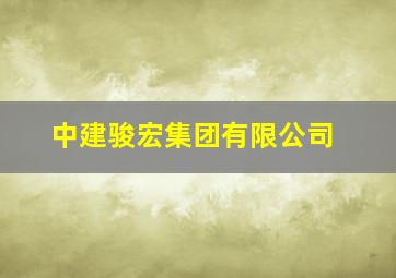 中建骏宏集团有限公司