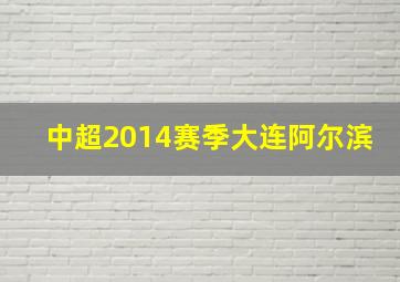 中超2014赛季大连阿尔滨