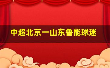 中超北京一山东鲁能球迷