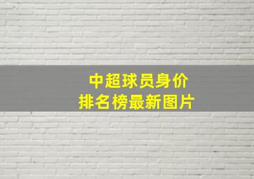 中超球员身价排名榜最新图片