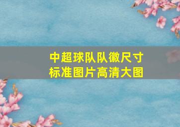 中超球队队徽尺寸标准图片高清大图