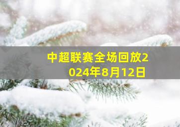 中超联赛全场回放2024年8月12日