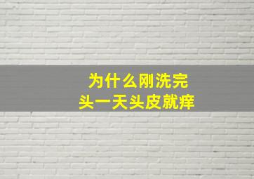 为什么刚洗完头一天头皮就痒