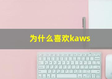 为什么喜欢kaws