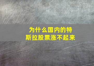 为什么国内的特斯拉股票涨不起来