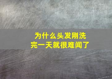 为什么头发刚洗完一天就很难闻了