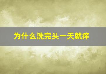 为什么洗完头一天就痒