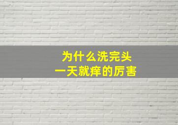 为什么洗完头一天就痒的厉害