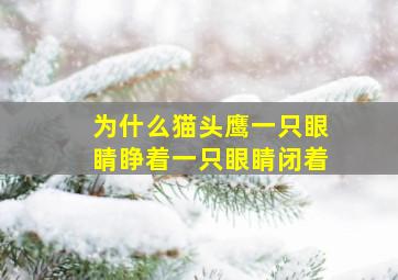 为什么猫头鹰一只眼睛睁着一只眼睛闭着