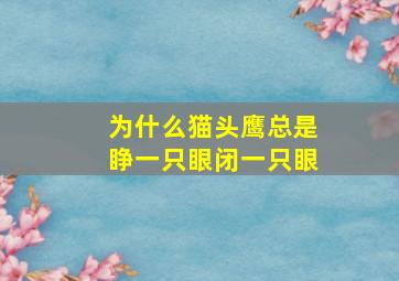 为什么猫头鹰总是睁一只眼闭一只眼