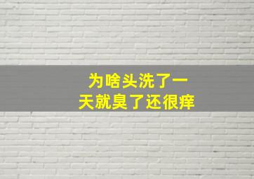 为啥头洗了一天就臭了还很痒