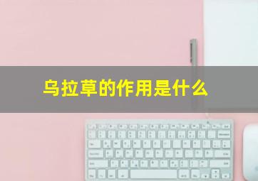 乌拉草的作用是什么