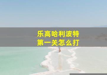 乐高哈利波特第一关怎么打