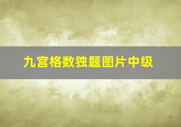 九宫格数独题图片中级