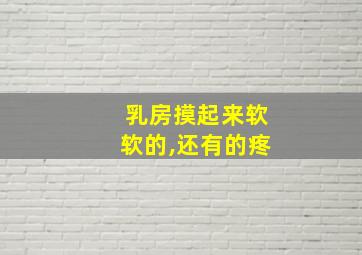 乳房摸起来软软的,还有的疼