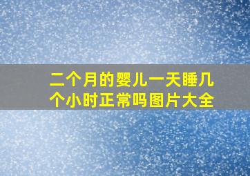 二个月的婴儿一天睡几个小时正常吗图片大全