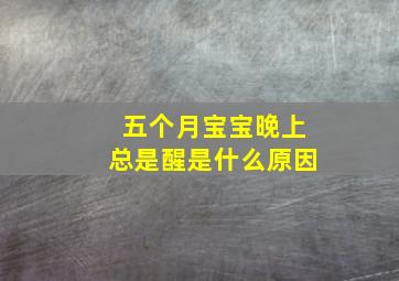 五个月宝宝晚上总是醒是什么原因