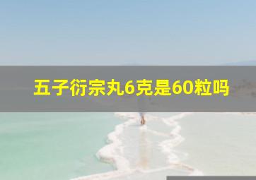 五子衍宗丸6克是60粒吗