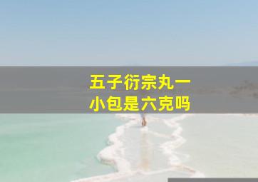 五子衍宗丸一小包是六克吗