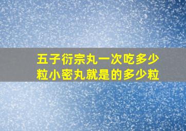 五子衍宗丸一次吃多少粒小密丸就是的多少粒