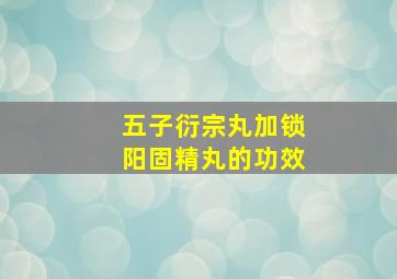 五子衍宗丸加锁阳固精丸的功效