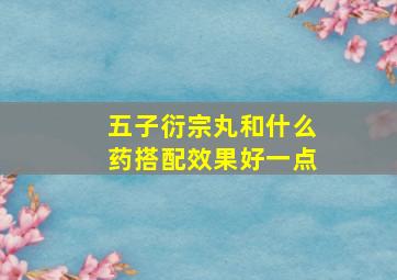 五子衍宗丸和什么药搭配效果好一点