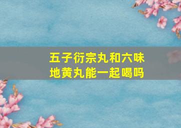 五子衍宗丸和六味地黄丸能一起喝吗