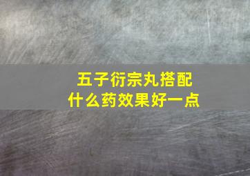 五子衍宗丸搭配什么药效果好一点