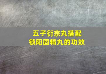 五子衍宗丸搭配锁阳固精丸的功效