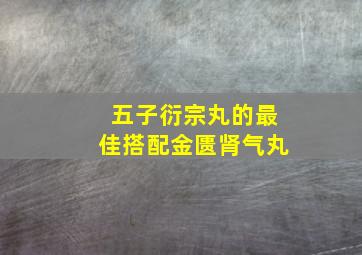 五子衍宗丸的最佳搭配金匮肾气丸