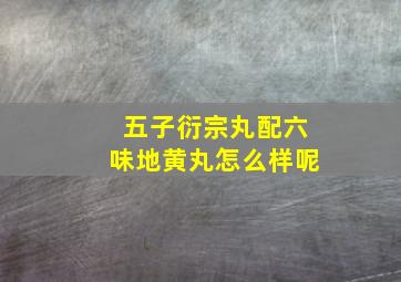 五子衍宗丸配六味地黄丸怎么样呢