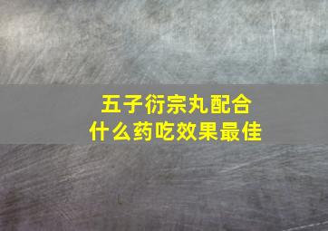 五子衍宗丸配合什么药吃效果最佳