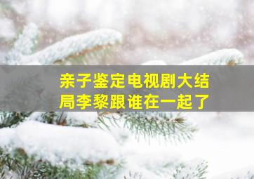 亲子鉴定电视剧大结局李黎跟谁在一起了