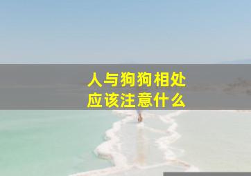 人与狗狗相处应该注意什么