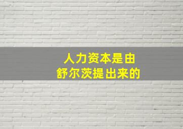 人力资本是由舒尔茨提出来的