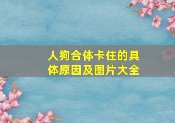 人狗合体卡住的具体原因及图片大全