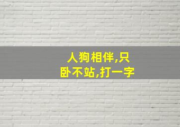 人狗相伴,只卧不站,打一字