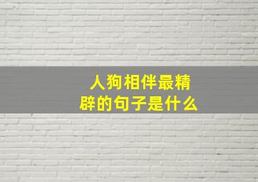 人狗相伴最精辟的句子是什么